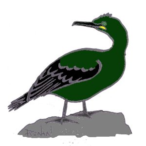 coloriage de cormoran hupp